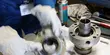 Ingenieur montiert Komponenten einer mechanischen Dichtung in einer Werkstatt und demonstriert industrielle Wartung und Präzisionstechnik.